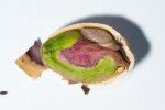 pistachio seed coat 1